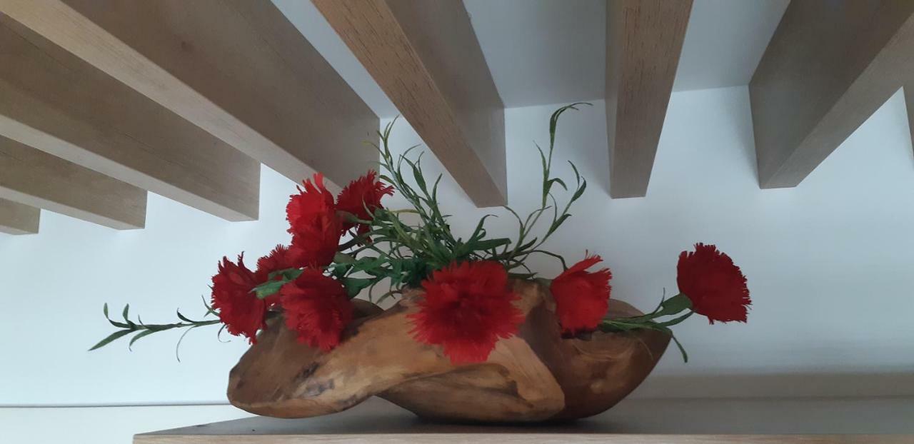 Mojca Jasna & Jelka Appartement *